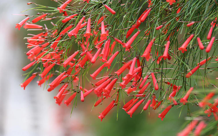 2019年06月摄影习作