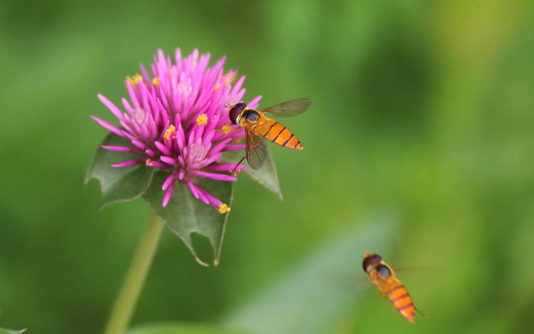 2019年07-09月摄影习作
